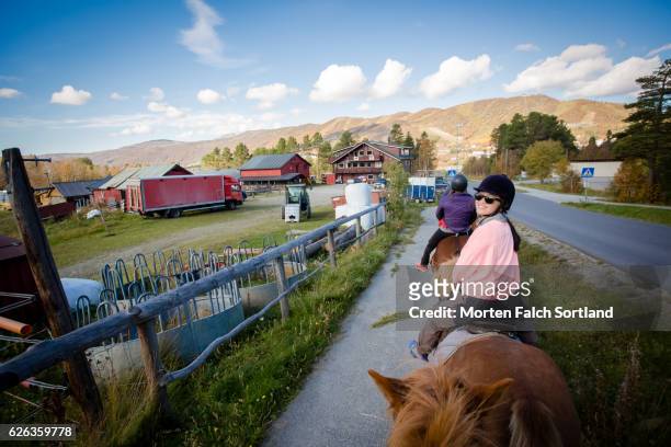 horse riding - østfold stock pictures, royalty-free photos & images