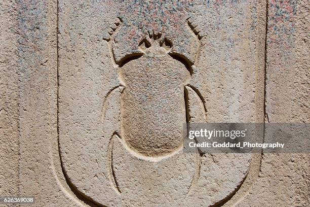 egypt: karnak temple complex - scarab beetle stock pictures, royalty-free photos & images