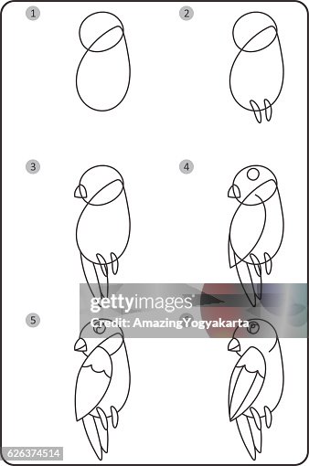 Cómo Dibujar Pájaro Fácil Dibujo Pájaro Para Los Niños Paso A Paso Ilustración de stock - Getty Images Cómo Dibujar Pájaro Fácil Dibujo Pájaro Para Los Niños Paso A Paso Ilustración de stock - Getty Images