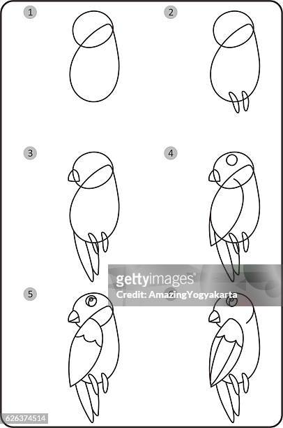Cómo Dibujar Pájaro Fácil Dibujo Pájaro Para Los Niños Paso A Paso  Ilustración de stock - Getty Images