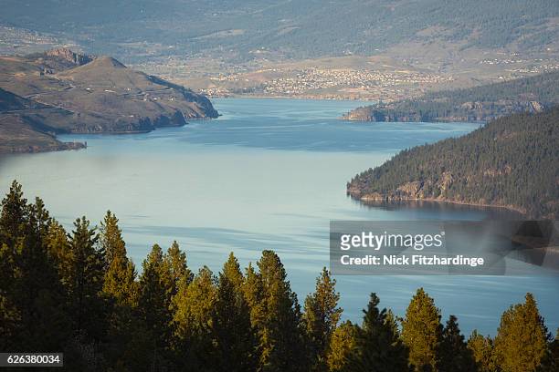 the view down  kalamalka lake from spion kopje, lake country, british columbia, canada - spion stock pictures, royalty-free photos & images