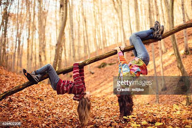 mother with daughter in autumn wood - hanging bildbanksfoton och bilder