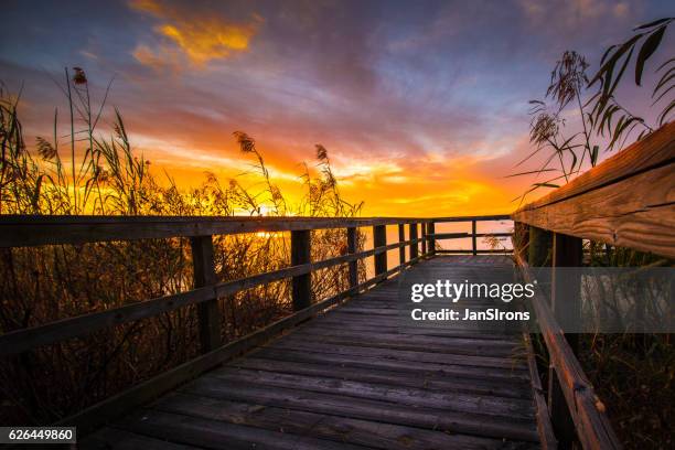 goodnight sun! - gulf coast stockfoto's en -beelden