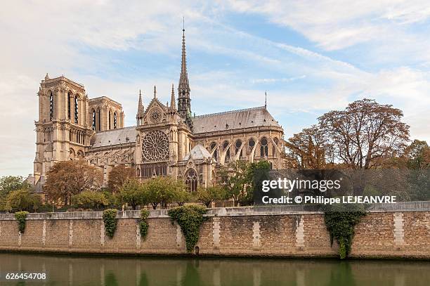 notre-dame de paris cathedral and river seine in morning light - kathedrale-von-notre-dame stock-fotos und bilder