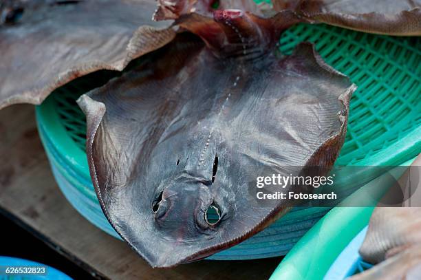 fish at a stall in a fish market - dead animal stock pictures, royalty-free photos & images