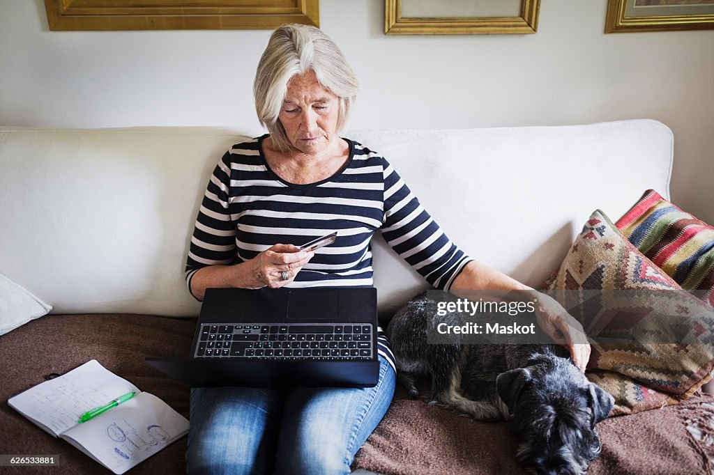 Senior woman using credit card and laptop while stroking dog on sofa