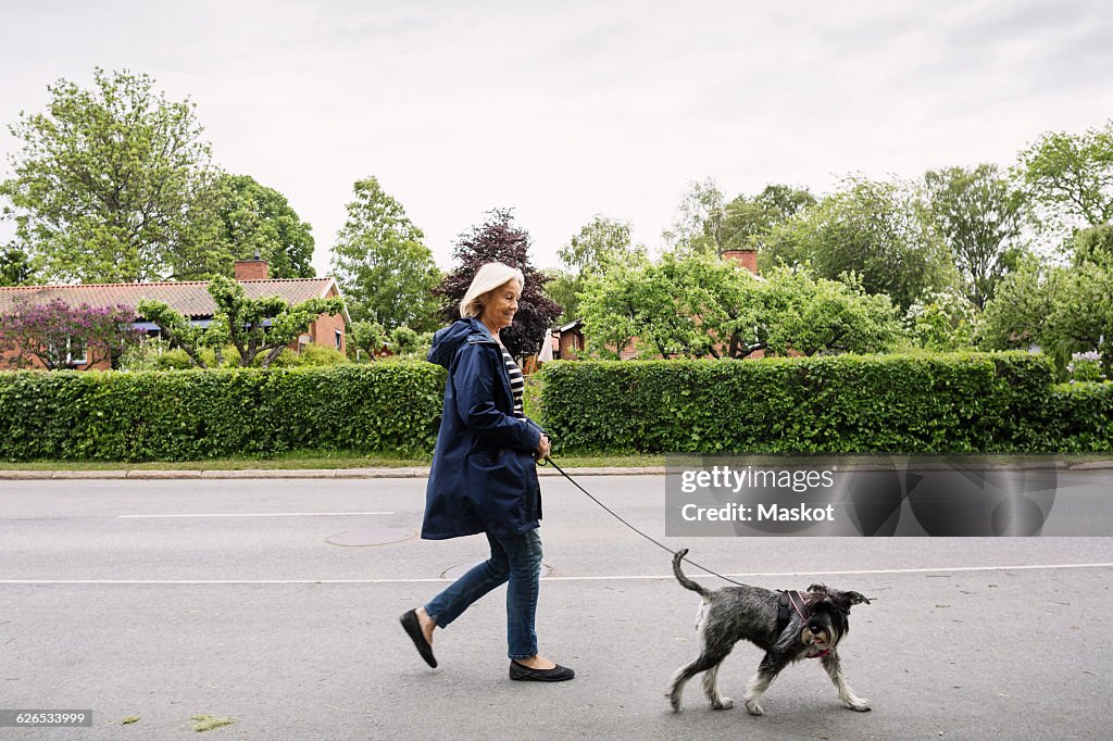 Side View Of Happy Senior Woman Walking With Dog On Street High-Res Stock  Photo - Getty Images