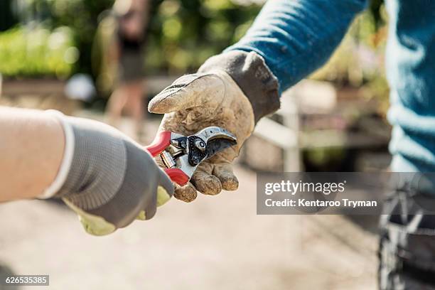 cropped image of woman giving pliers to man at community garden - gartengerät stock-fotos und bilder
