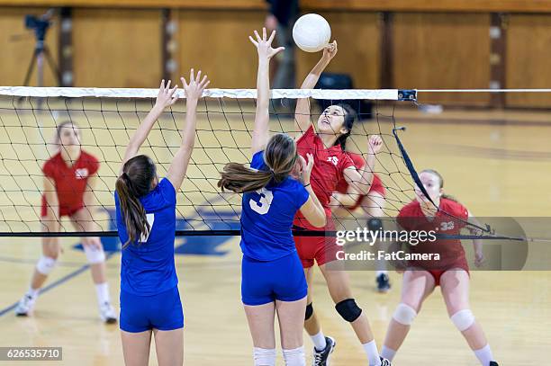 une joueuse asiatique de volley-ball de lycée pointe le volley-ball contre des adversaires féminines - volleyball player photos et images de collection