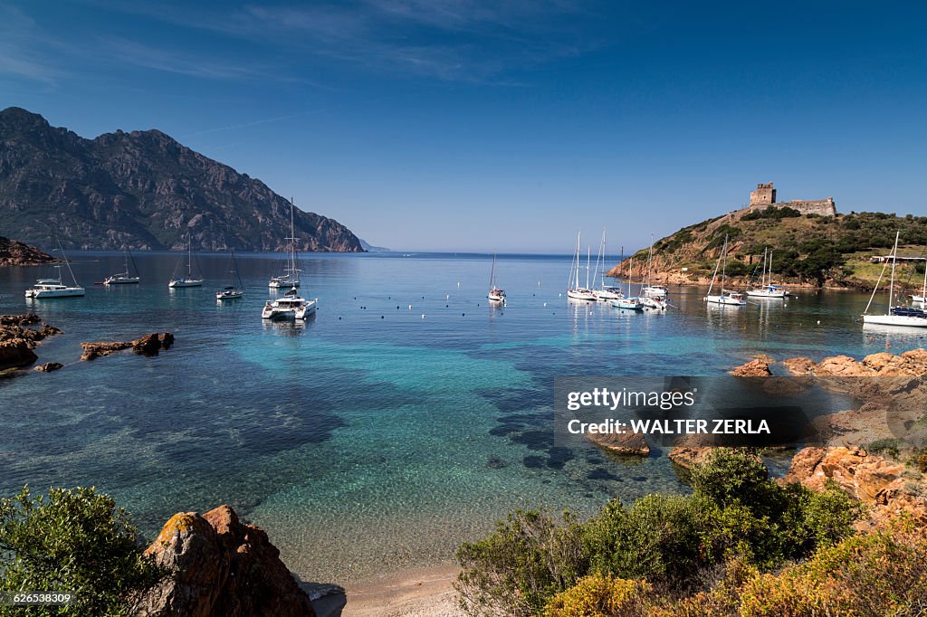 Elevated view of yachts anchored in bay, Girolata, Corsica, France