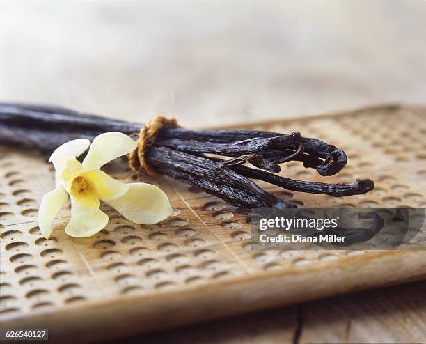 vanilla pods and yellow flower on wooden board - vanilla stock pictures, royalty-free photos & images