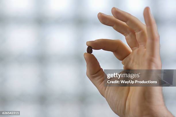 fingers holding coffee bean - connoisseur stock pictures, royalty-free photos & images