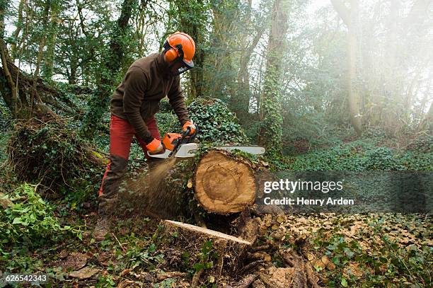 male tree surgeon sawing tree trunk using chainsaw in forest - sawing stock-fotos und bilder