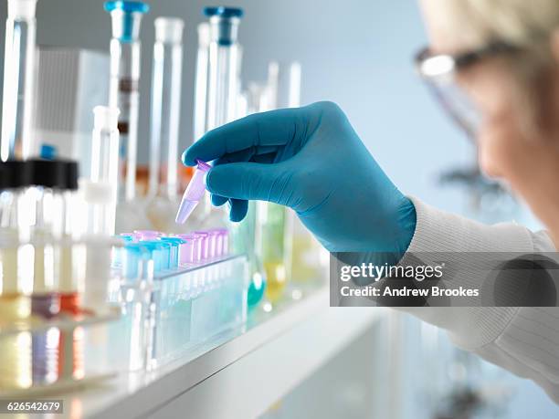 Lab Test Evidence 124,152 Evidence Stock Photos, High-Res Pictures, and Images - Getty Images