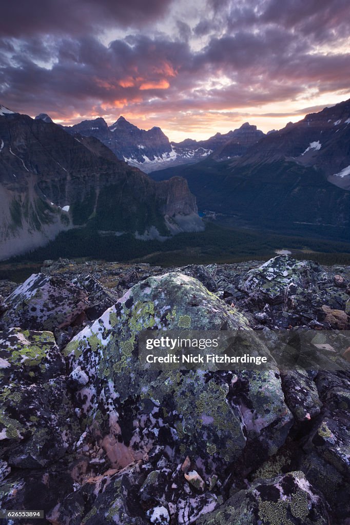 Sunset over the continental divide and a lichen covered rock viewed from Panorama Ridge, Banff National Park, Alberta, Canada