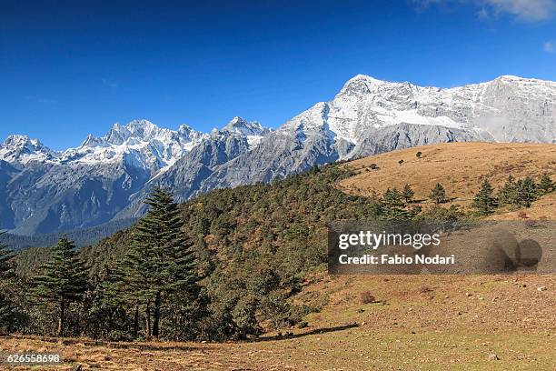 panoramic view of the jade dragon snow mountain in yunnan, china - mosuo china foto e immagini stock