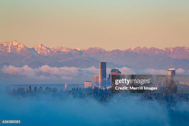 seattle skyline and olympic mountains. - olympic peninsula photos et images de collection
