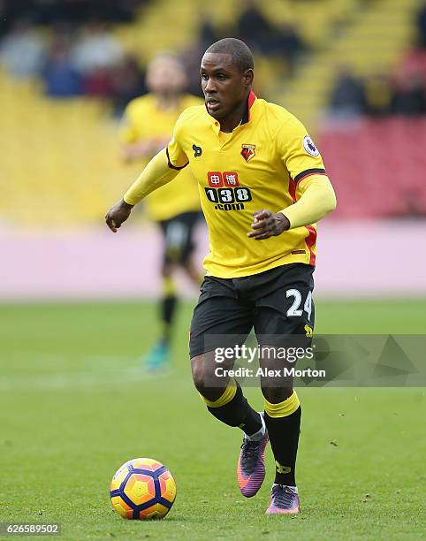 Odion Ighalo of Watford during the Premier League match between Watford and Stoke City at Vicarage Road on November 27, 2016 in Watford, England.