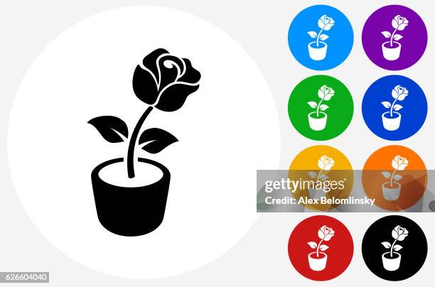 rose flower icon on flat color circle buttons - orange roses stock illustrations