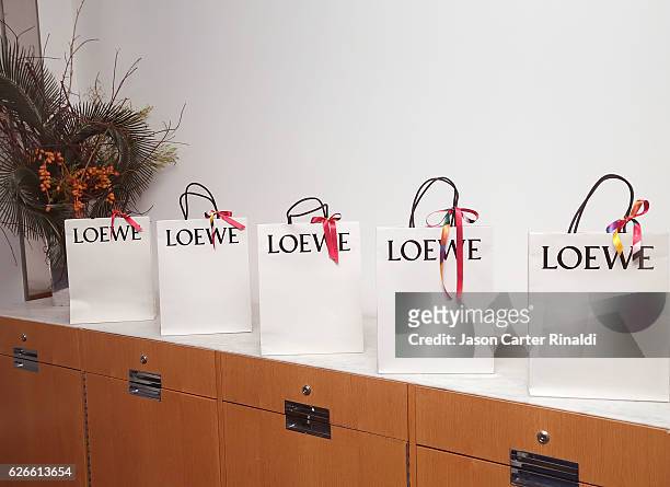 Loewe at the Pedro Almodovar Retrospective Opening Night at the Museum of Modern Art on November 29, 2016 in New York City.
