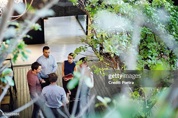 geschäftsleute diskutieren in der bürolobby - pflanze stock-fotos und bilder