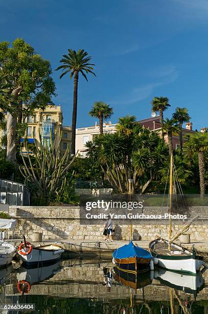 beaulieu fourmis, alpes maritimes, provence, france - beaulieu sur mer stock pictures, royalty-free photos & images