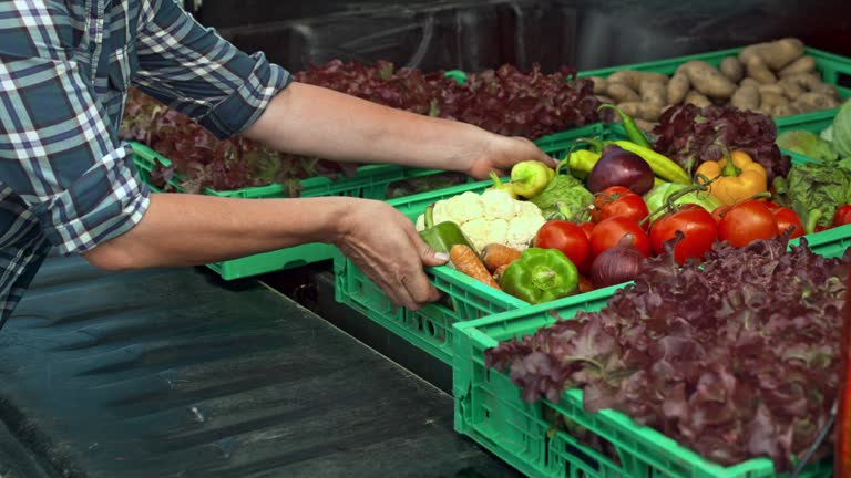 https://media.gettyimages.com/id/626636424/video/female-farmer-unloading-her-vegetable-delivery-truck.jpg?b=1&s=640x640&k=20&c=M6SiMN5_fY1TZQATHN-sOzwmA09bGFFd6IEPX7tzC2o=