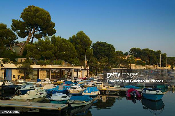 juan les pins, crouton's harbour, french riviera, france - juan les pins stock pictures, royalty-free photos & images