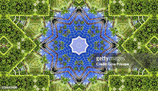kaleidoscope of an ornamental garden - orlando florida city stock pictures, royalty-free photos & images