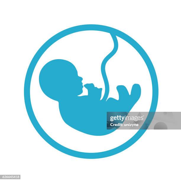 fetus icon - fetus stock illustrations