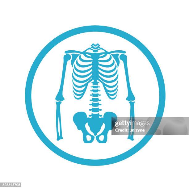 illustrations, cliparts, dessins animés et icônes de icône de skeleton - squelette humain