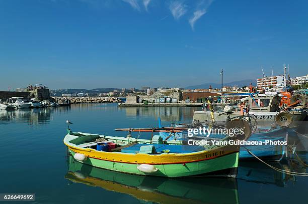 42 Cagne Stock Photos, HighRes Pictures, and Images Getty Images