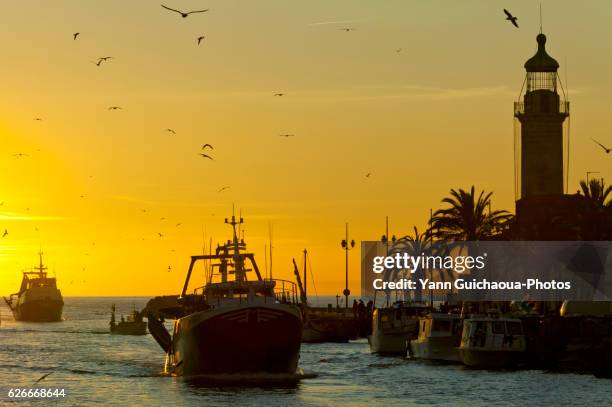 fishing boat, le grau du roi, gard, france - gard stock pictures, royalty-free photos & images