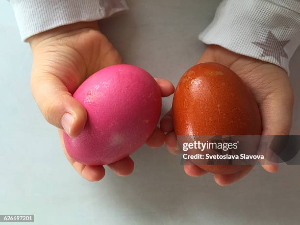 easter eggs! - svetoslava slavova photos et images de collection