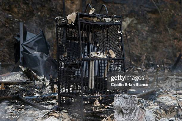 Charred bird cage sits in the smoldering remains of a home in the wake of a wildfire November 30, 2016 in Gatlinburg, Tennessee. Thousands of people...