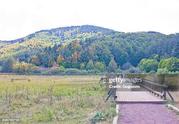 abant lake view - abant turkey stockfoto's en -beelden