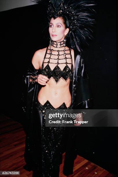 Portrait of Cher at the Oscars, wearing an outfit by Bob Mackie.