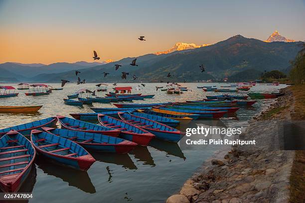 sunrise with wooden boats on phewa lake, pokhara, nepal. - pokhara stock pictures, royalty-free photos & images