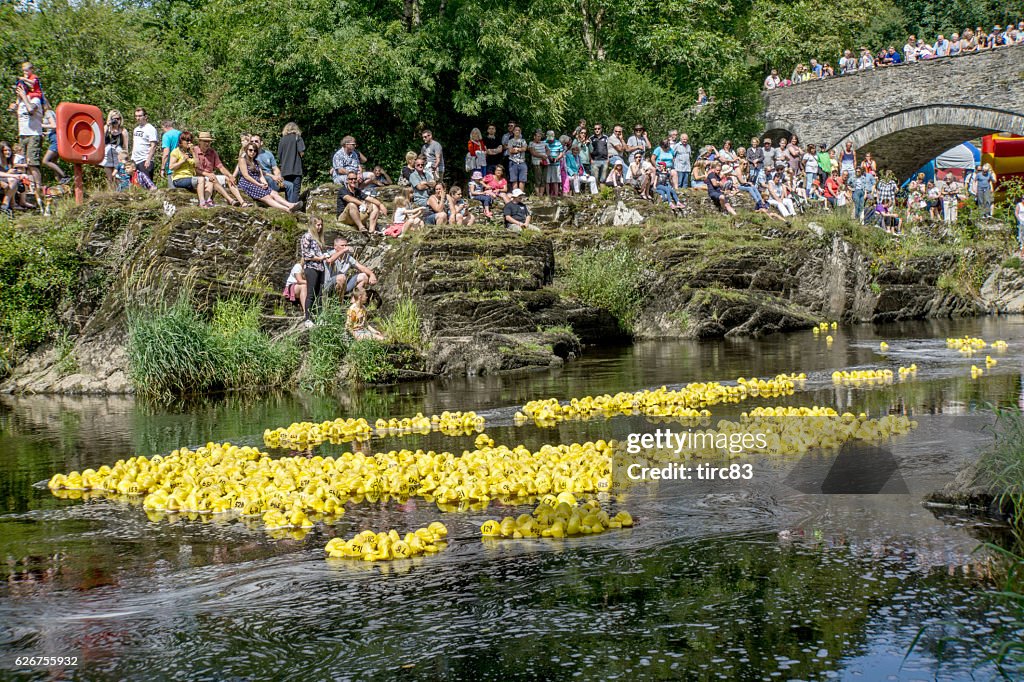 River duck race with crowds cheering them on