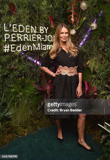 Model Elle Macpherson attends the L'Eden By Perrier-Jouet Rooftop Soiree With Karolina Kurkova on November 30, 2016 in Miami Beach, Florida.