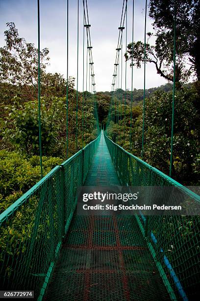 canopy trekking costa rica - モンテベルデ雲林保護区 ストックフォトと画像