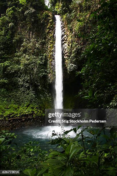 costa rica waterfall park - arenal volcano national park stock pictures, royalty-free photos & images