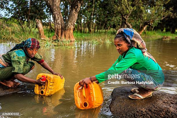 african women are taking water from the river, ethiopia, africa - ethiopia bildbanksfoton och bilder