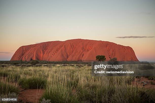 ayers rock-uluru, northern territory, australia at sunset - uluru rock stock pictures, royalty-free photos & images