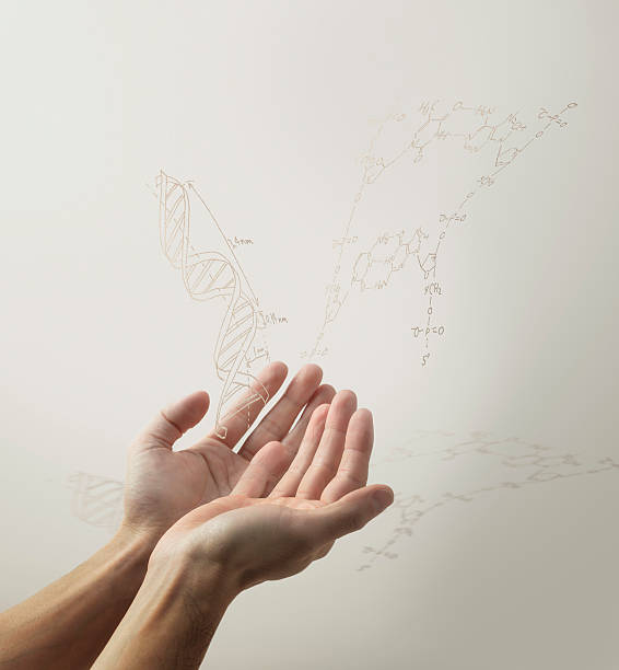 Dna Gamuda 2,477 Hand Holding Dna Stock Photos, High-Res Pictures, and Images ...