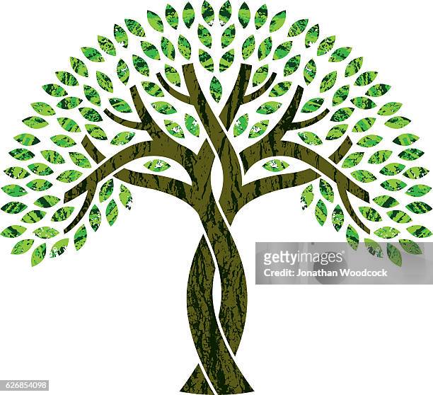 entwined tree symbol illustration - tree trunk stock illustrations