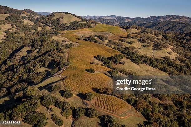 Cooley Ranch Rd Rodney Strong Photos and Premium High Res Pictures - Getty Images