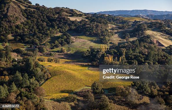 Cooley Ranch Rd Rodney Strong's Cooley Ranch vineyard, located northwest of Lake ...
