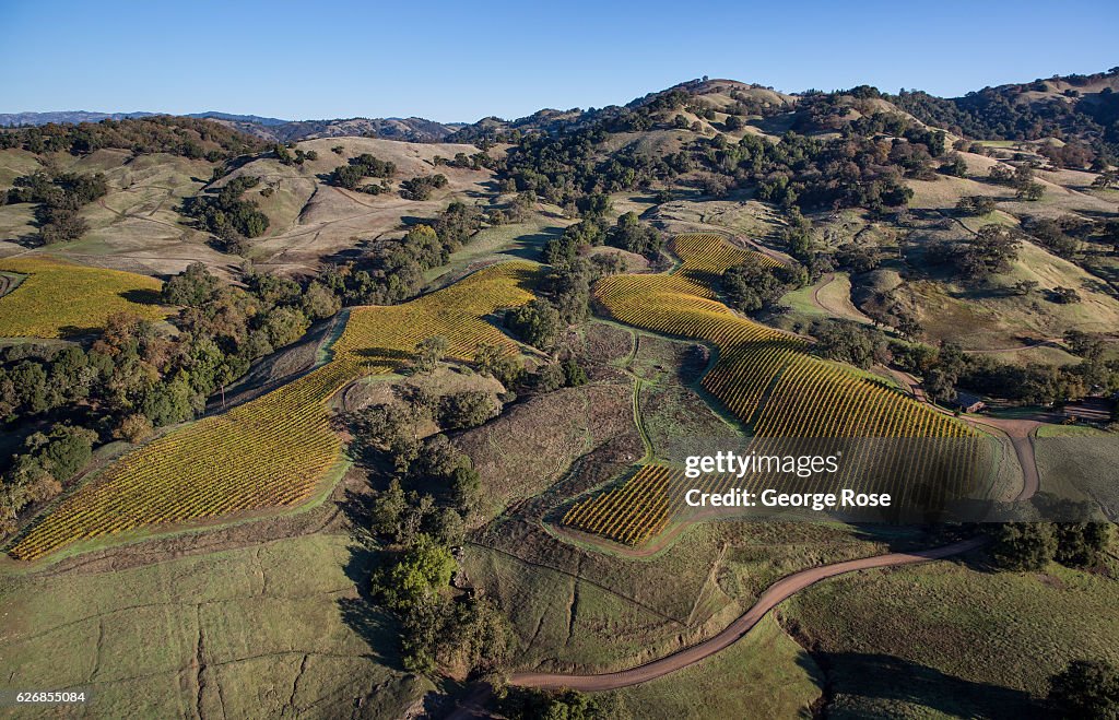Cooley Ranch Rd Rodney Strong's Cooley Ranch vineyard, located northwest of Lake ...