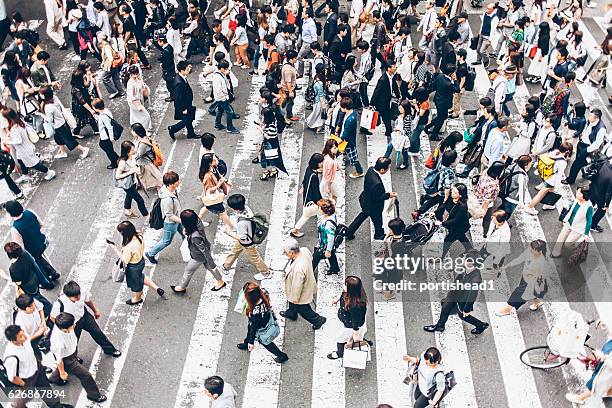 menschen, die die straße auf dem gehweg überqueren - commuters overhead view stock-fotos und bilder